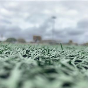 Meet your Posher, Cacanja